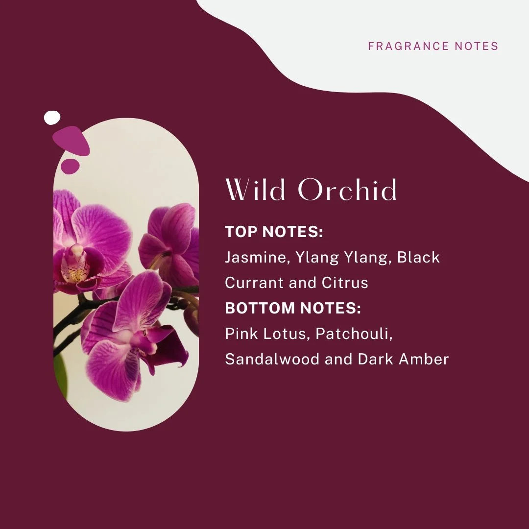 Candle Trio Gift Pack - Mixed Notes