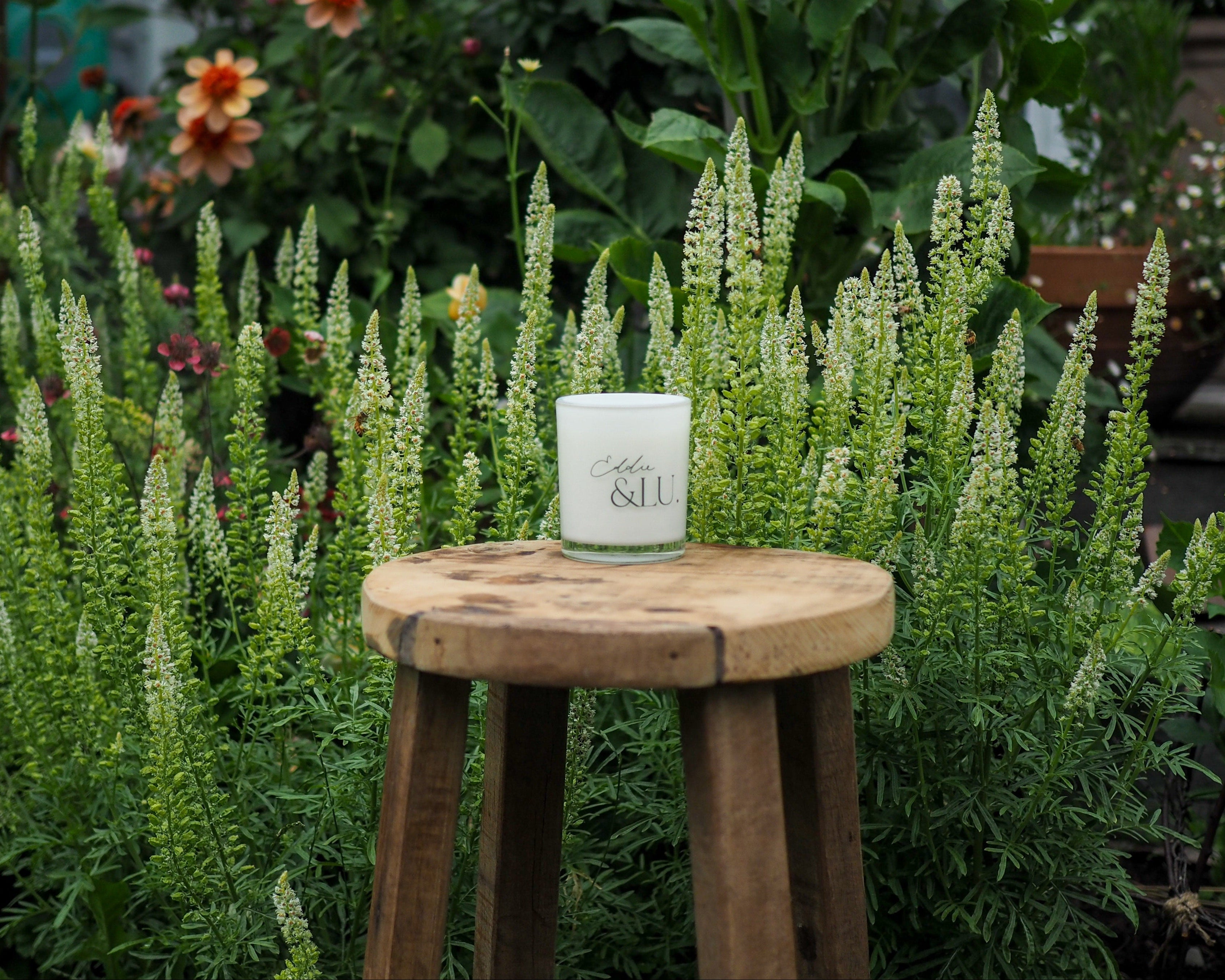 Eddie & Lu candle seconds - hand-poured coconut wax candle with minor cosmetic blemish, NZ made