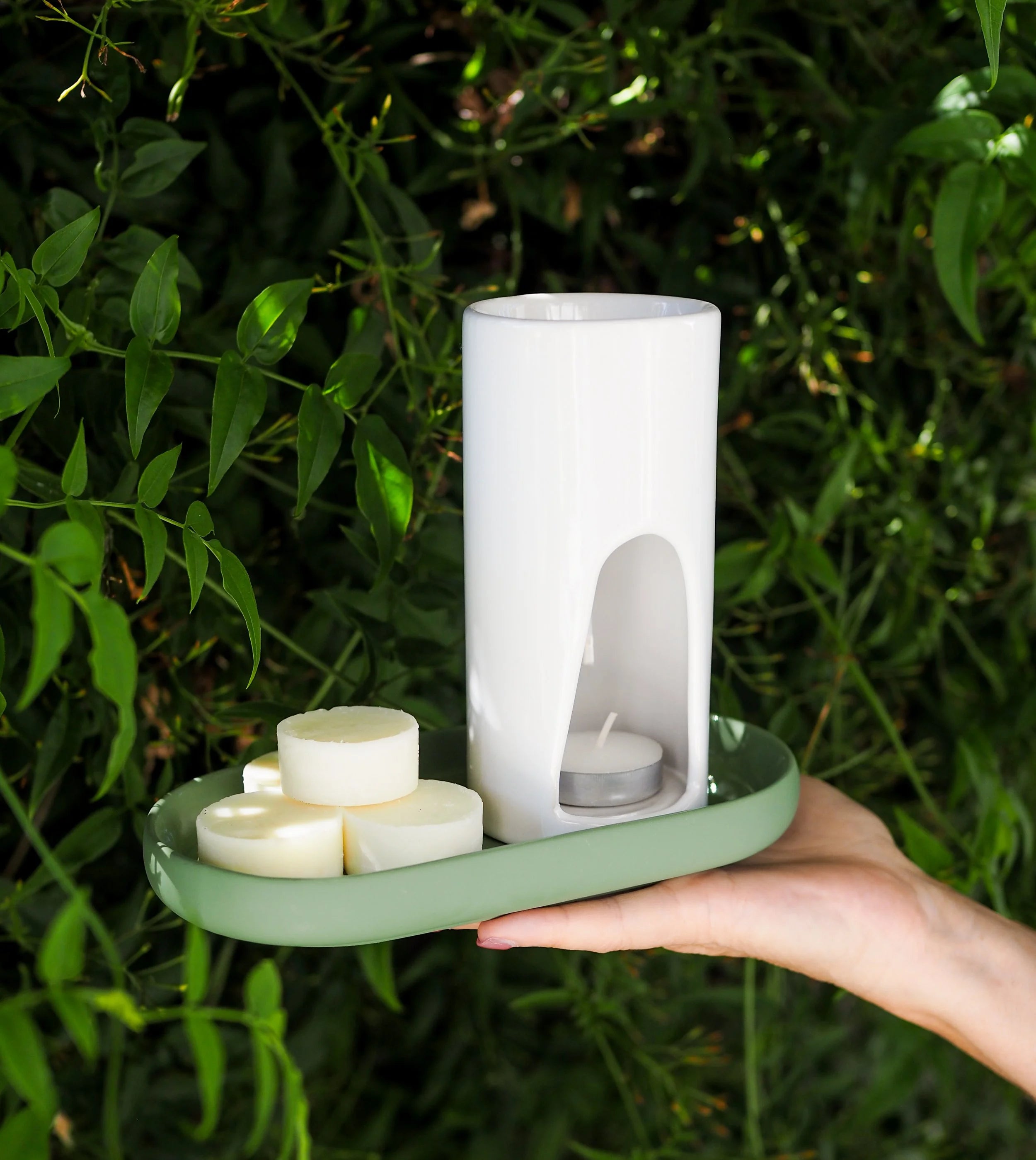 Warm Ginger Coconut Wax Melts