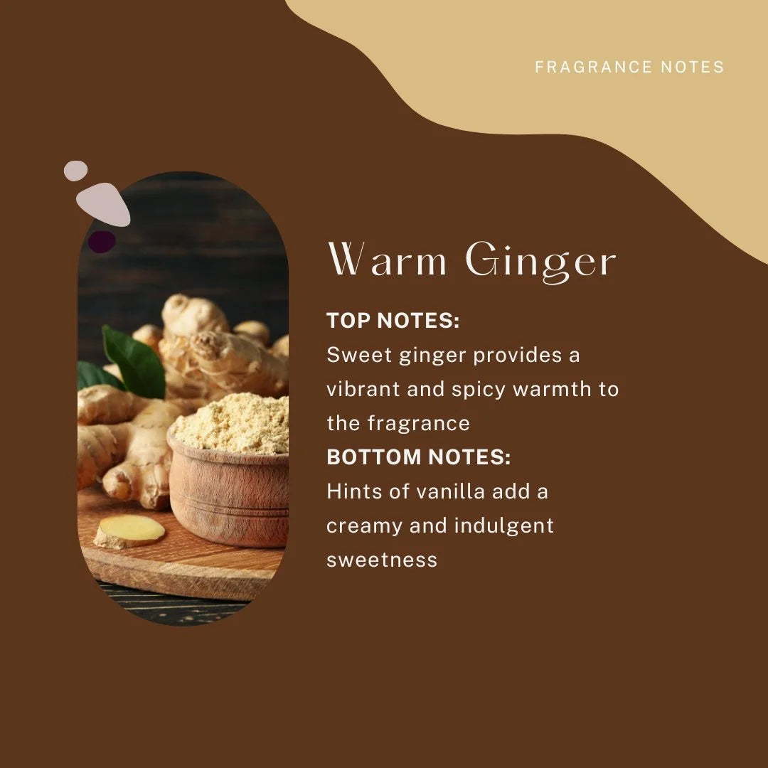 Candle Trio Gift Pack - Mixed Notes