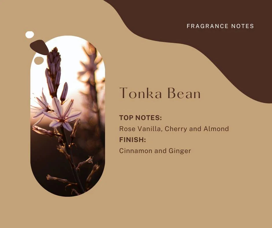 Tonka Bean Coconut Wax Melts